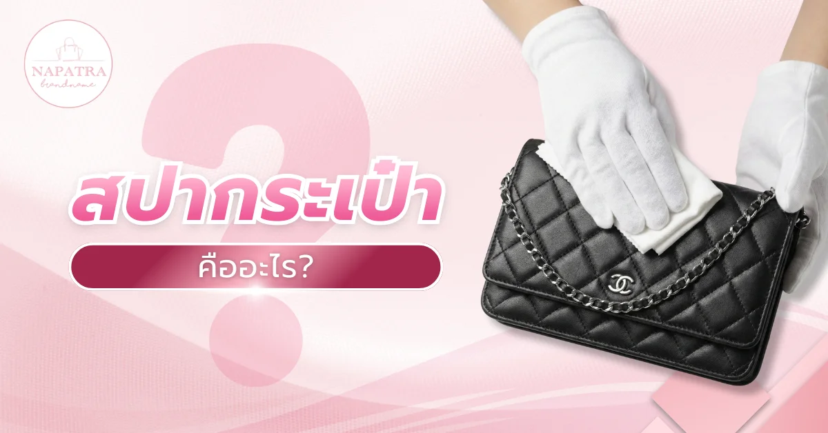 สปากระเป๋า