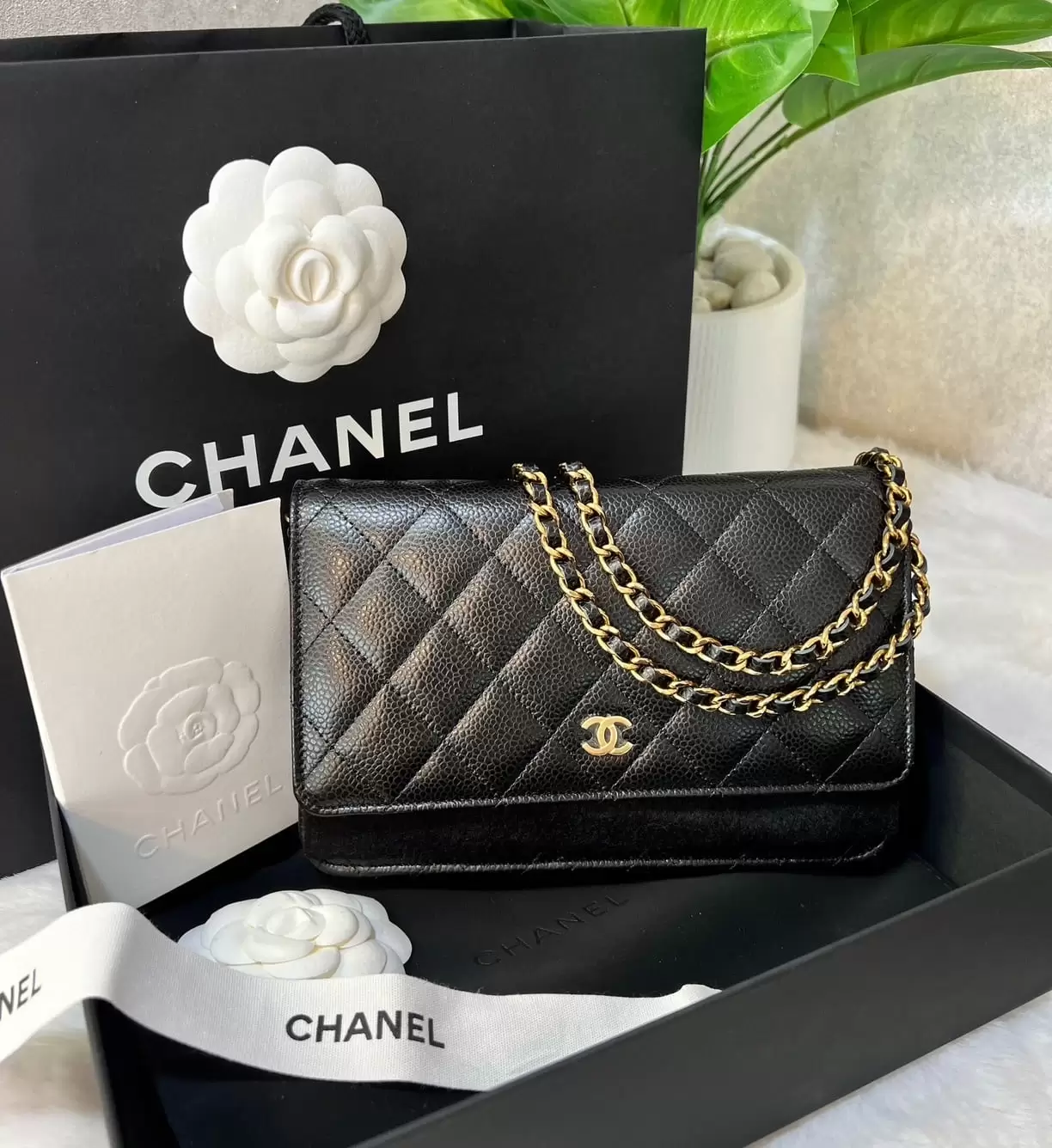 Chanel WOC Classic - Calfskin - Image 5