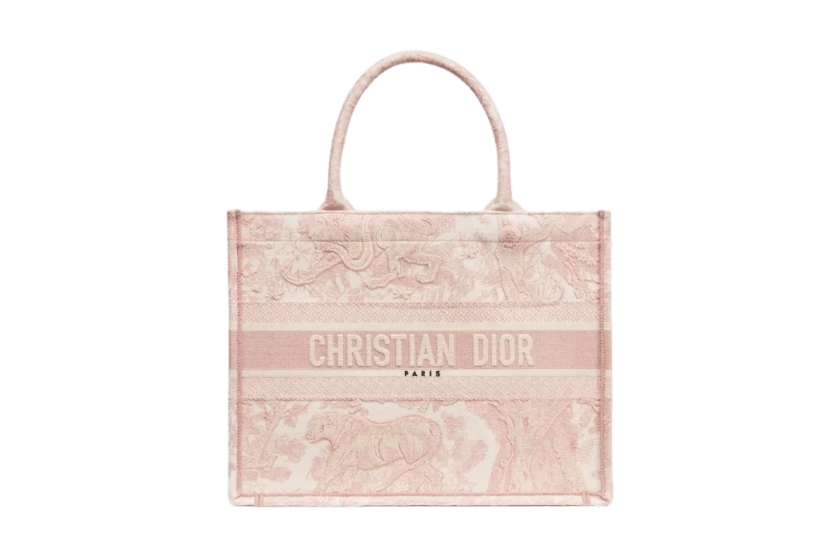 Dior Book Tote Bag - Image 12