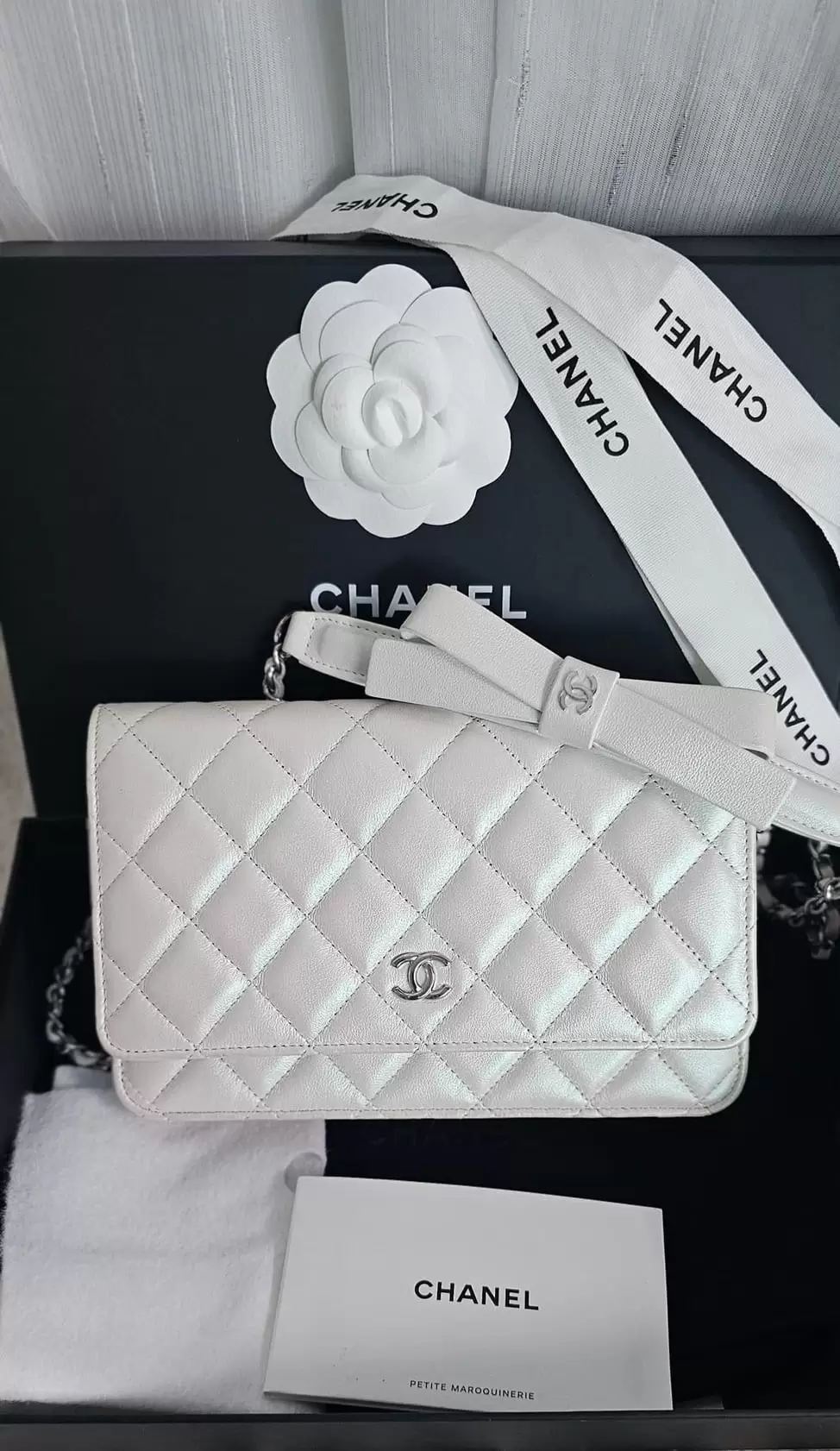 Chanel WOC Classic - Lampskin - Image 2
