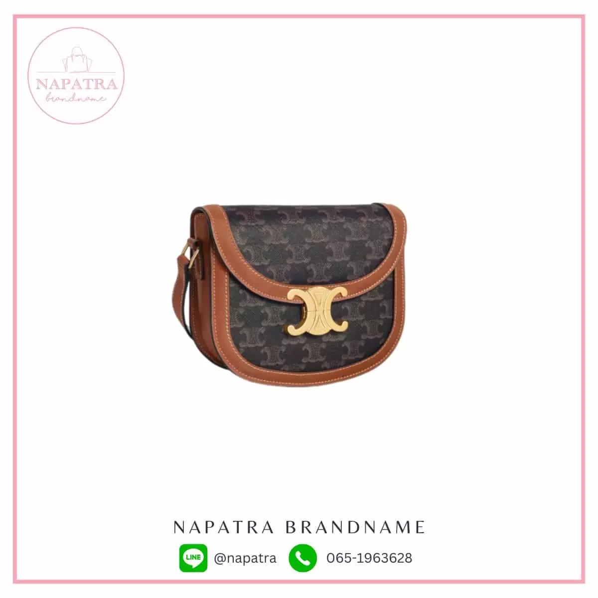 Celine Besace Clea Bag In Triomphe Canvas and Calfskin