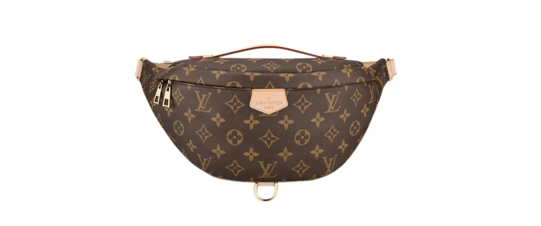 LV Bumbag - Image 2