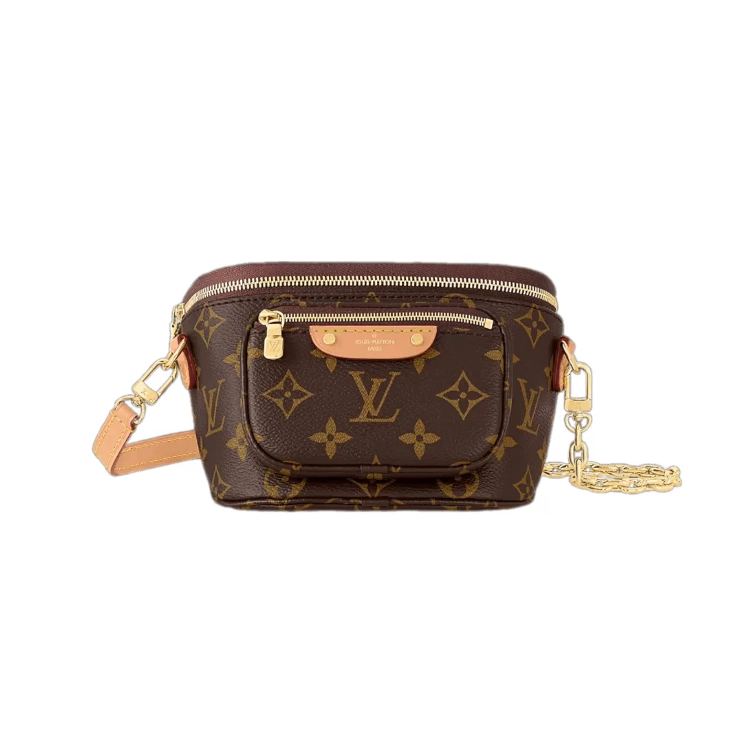 LV Bumbag - Image 4